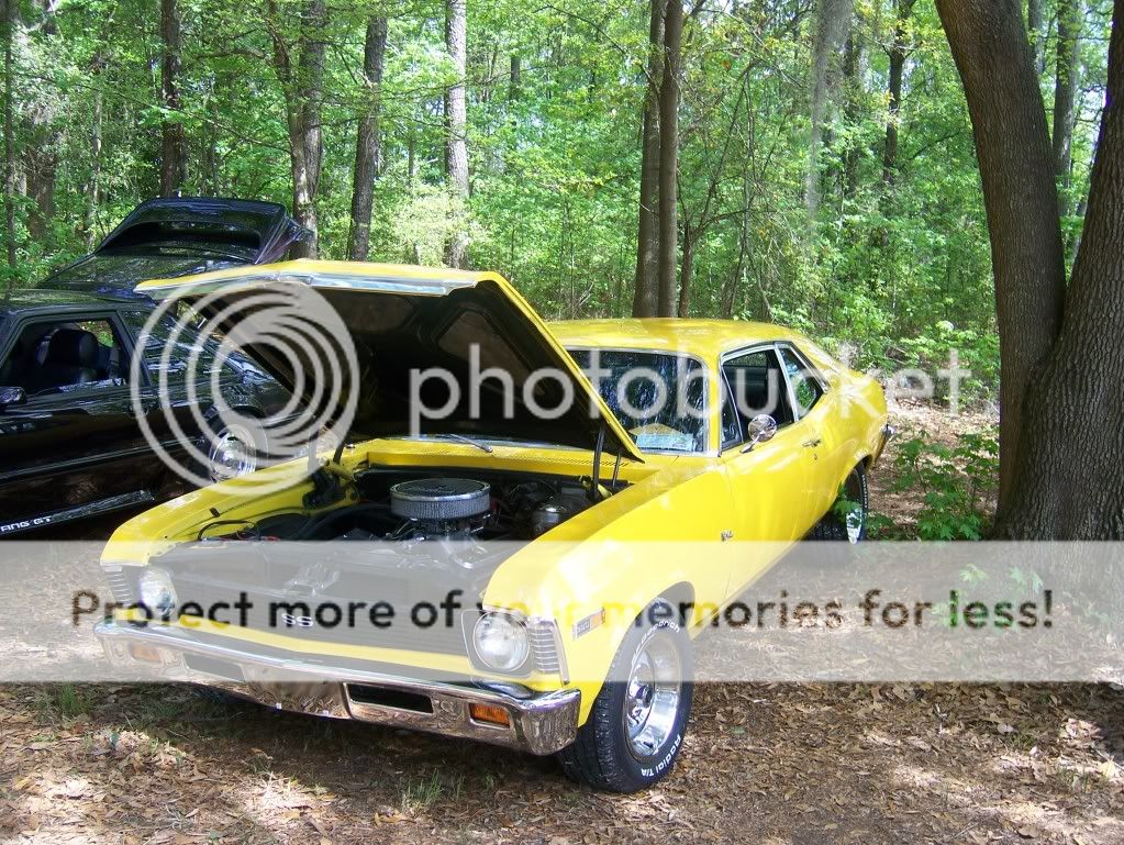 Daytona Yellow paintcode?